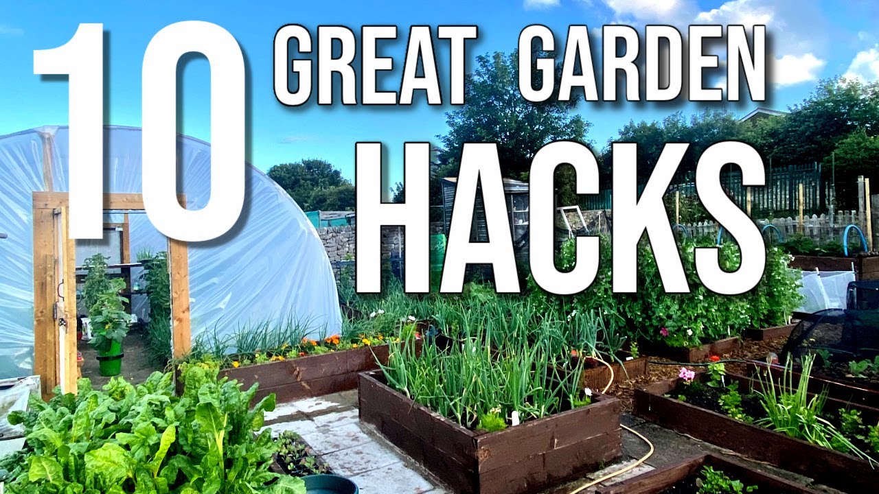 10 Gardening Tips, Ideas and Hacks That Actually Work. My 10 Tips, Ideas and Hacks Gardening in 2020