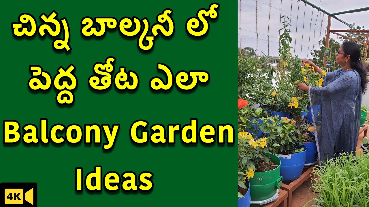 చిన్న బాల్కనీలో ఎక్కువ మొక్కలు పెంచుకోవడం ఎలా | Balcony Gardening Ideas| Small Place More Plants|TTH