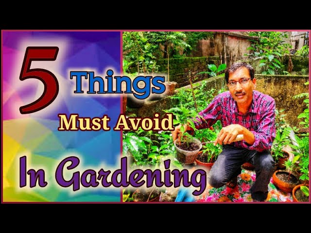 5 Mistakes one should Never do in Gardening . Gardening tips and tricks