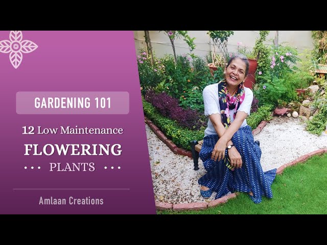 Gardening 101 | 12 Must-Have Permanent Flowering Plants | Low Maintenance | साल भर फ़ूल पाएं