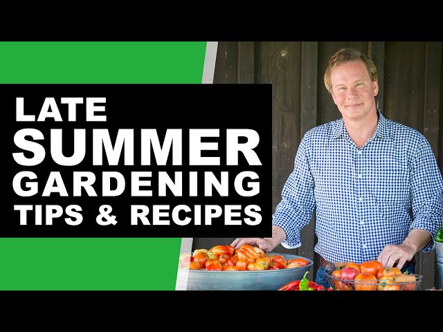 10 Late Summer Gardening Tips & Projects: August 2020 | P. Allen Smith