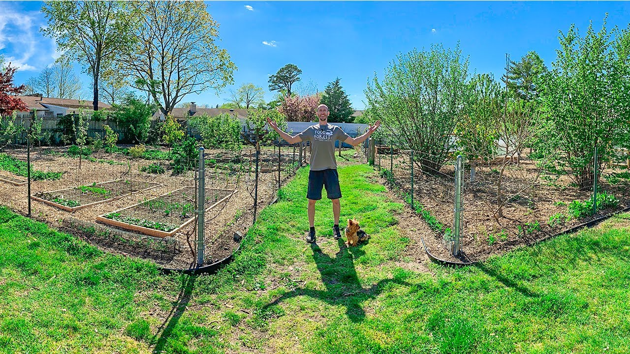 Permaculture Backyard Garden, Beyond Organic Gardening
