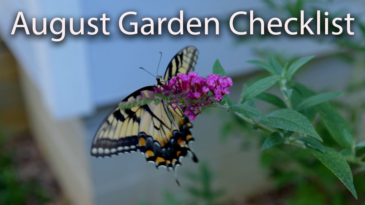 🏡August Garden Checklist - Summer Gardening