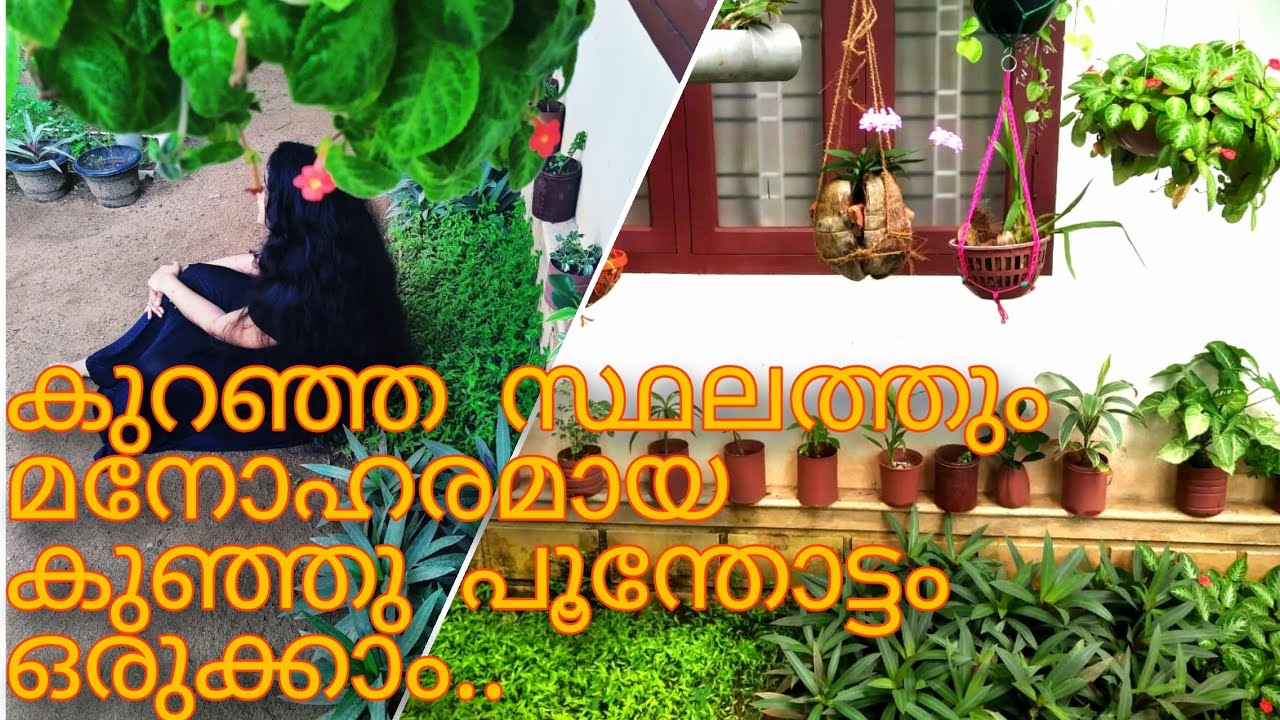 Garden Corner Tour Part 3 | Small space gardening | how to make garden in small space | malayalam
