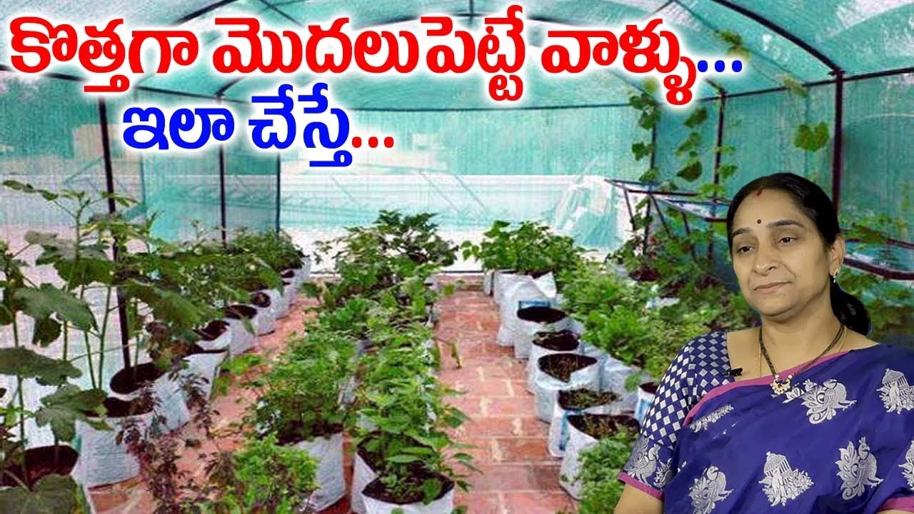 Terrace Gardening for Beginners - Step by Step | Making of Terrace Garden | Ramaa Raavi |SumanTV Mom