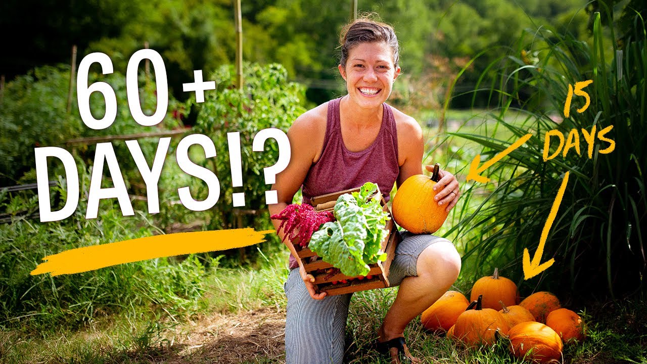 How To Avoid the Grocery Store As Long As Possible // Gardening & Self-Sufficiency