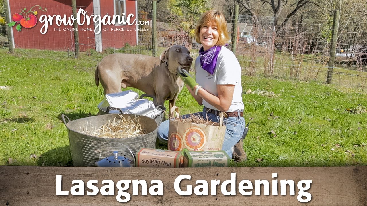 What is the Lasagna Gardening Method?