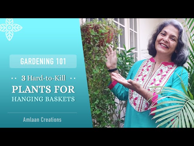 Gardening 101 | 3 Hard-to-Kill Plants for Hanging Baskets | हैंगिंग बास्केट में उगने वाले आसान पौधे