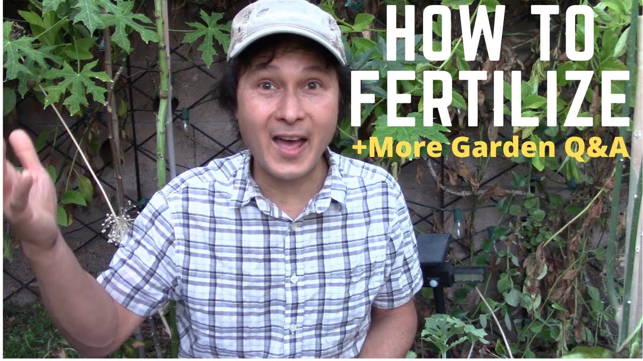 How & When to Fertilize Your Garden & More Organic Gardening Q&A