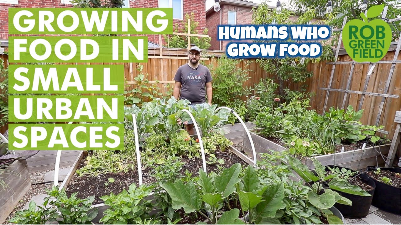 Growing Food in Urban Small Spaces - Urban Gardening