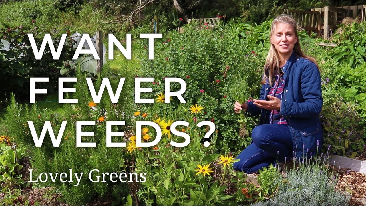 3 Tips for Gardening with Fewer Weeds