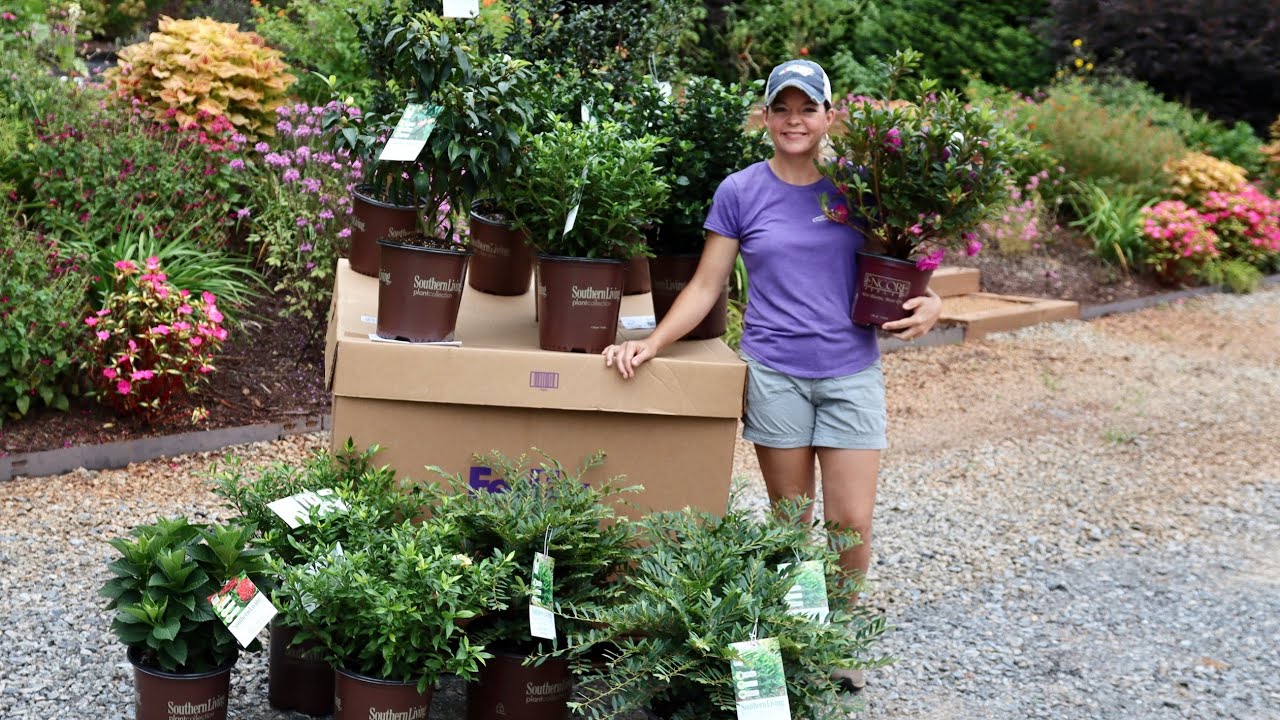 New Shrubs From Southern Living Plants // Gardening with Creekside
