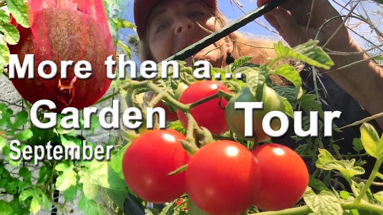 Garden Tour Growing Tips Ground & Container Gardening with Nature Grow Food Easy Peppers Tomatoes