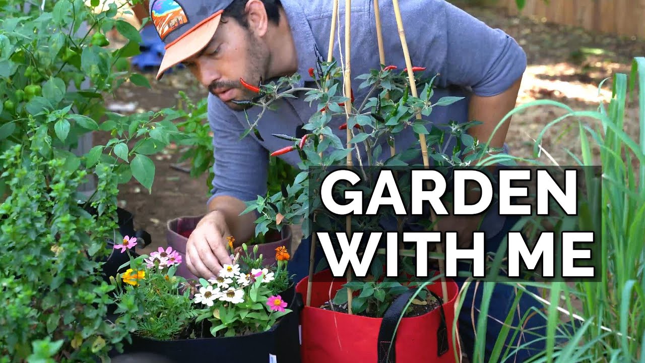 Garden With Me: Starting Seeds, Pruning, Composting