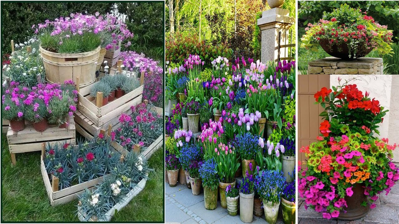 125 Container Gardening Ideas - part 3  | diy garden