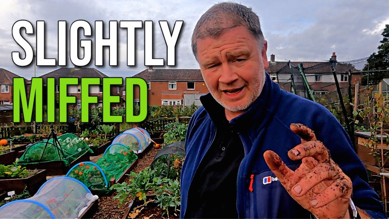 There Must Be A Better Way - Allotment Gardening with Tony