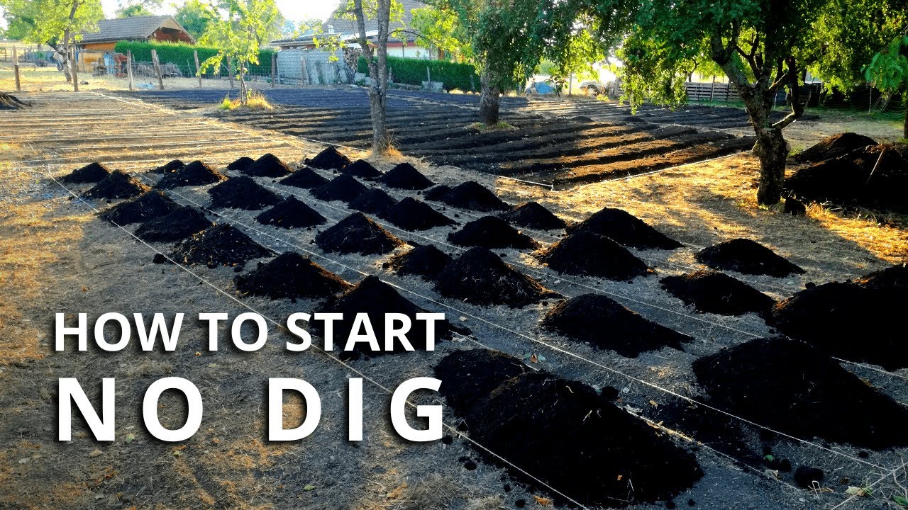 No Dig Gardening: How to Make a No Dig Garden Bed