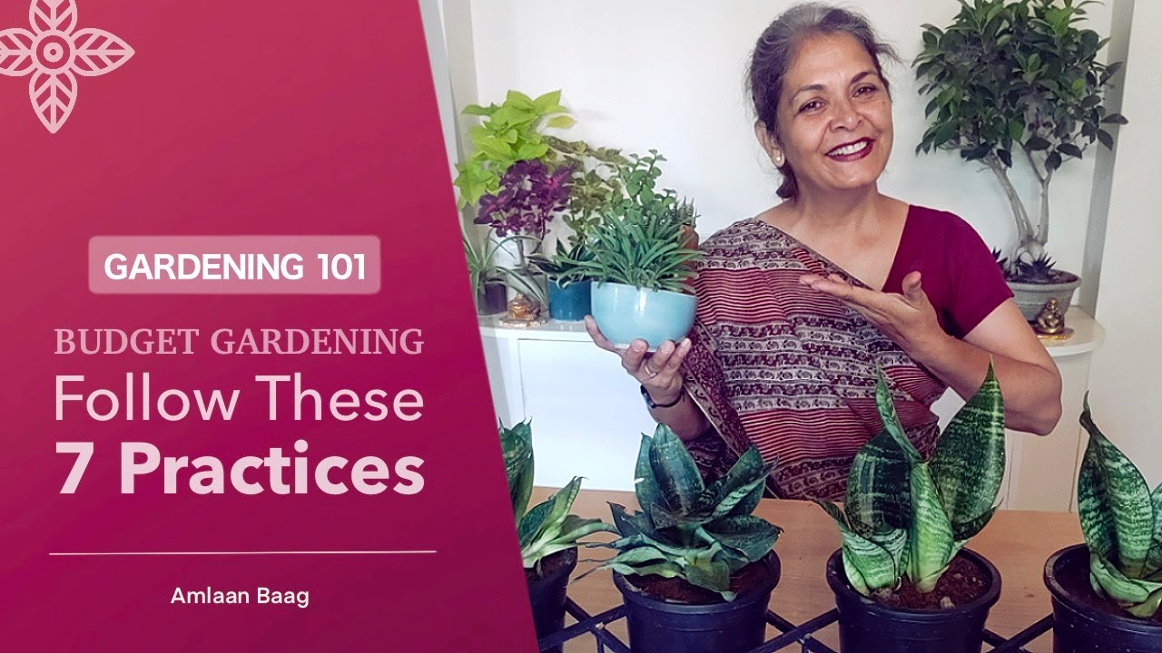 Gardening 101 | Budget Gardening - Follow These 7 Practices