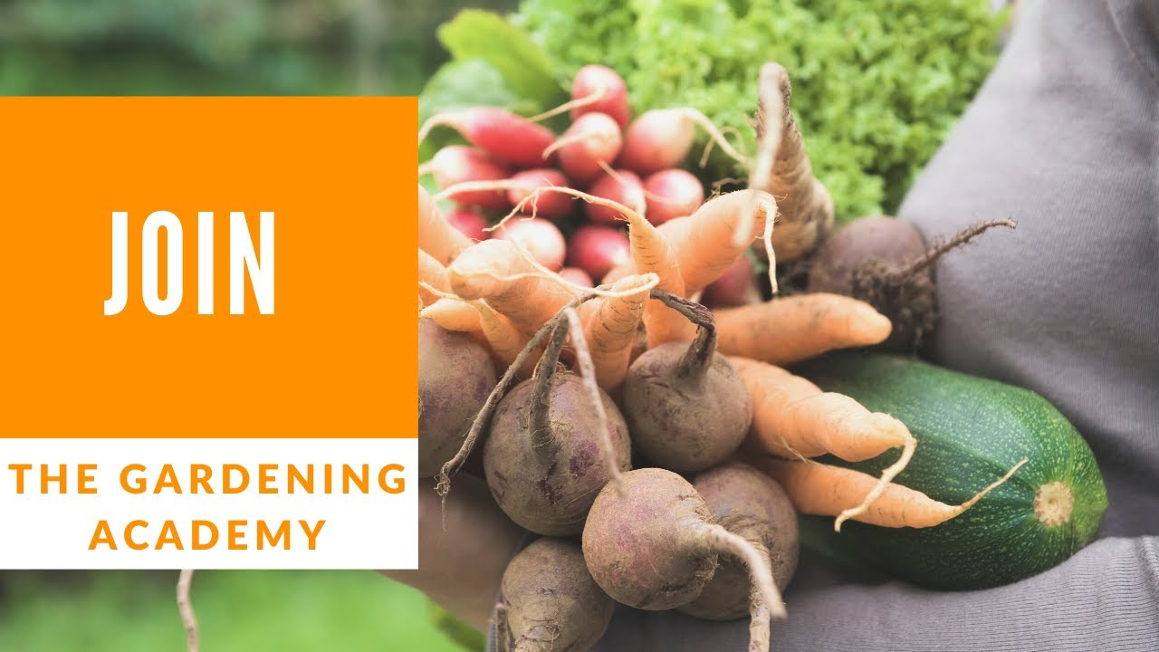 Join The Gardening Academy Today!