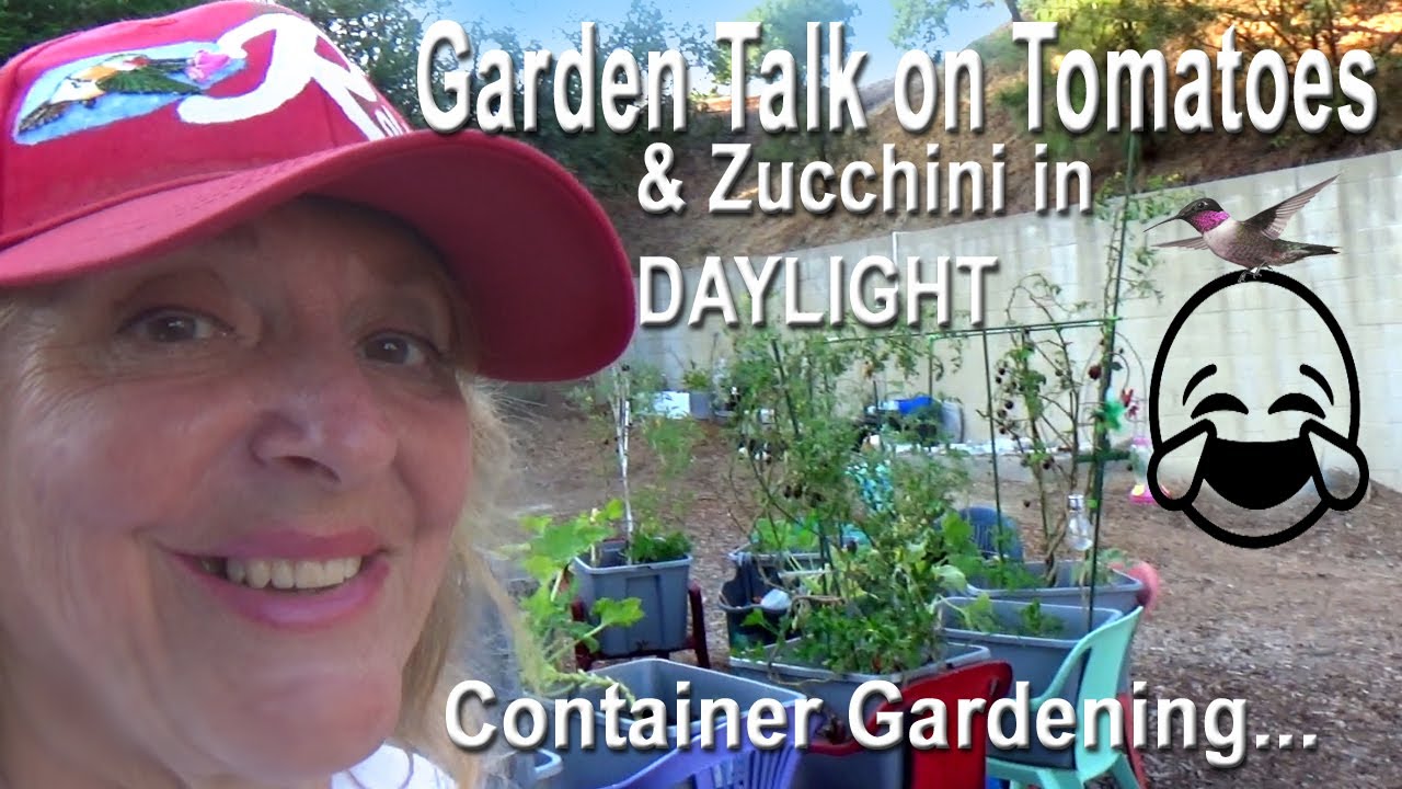 Daytime Container Gardening Tomatoes & Zucchini Plants Saving them for Fall-Preparing Winter Garden
