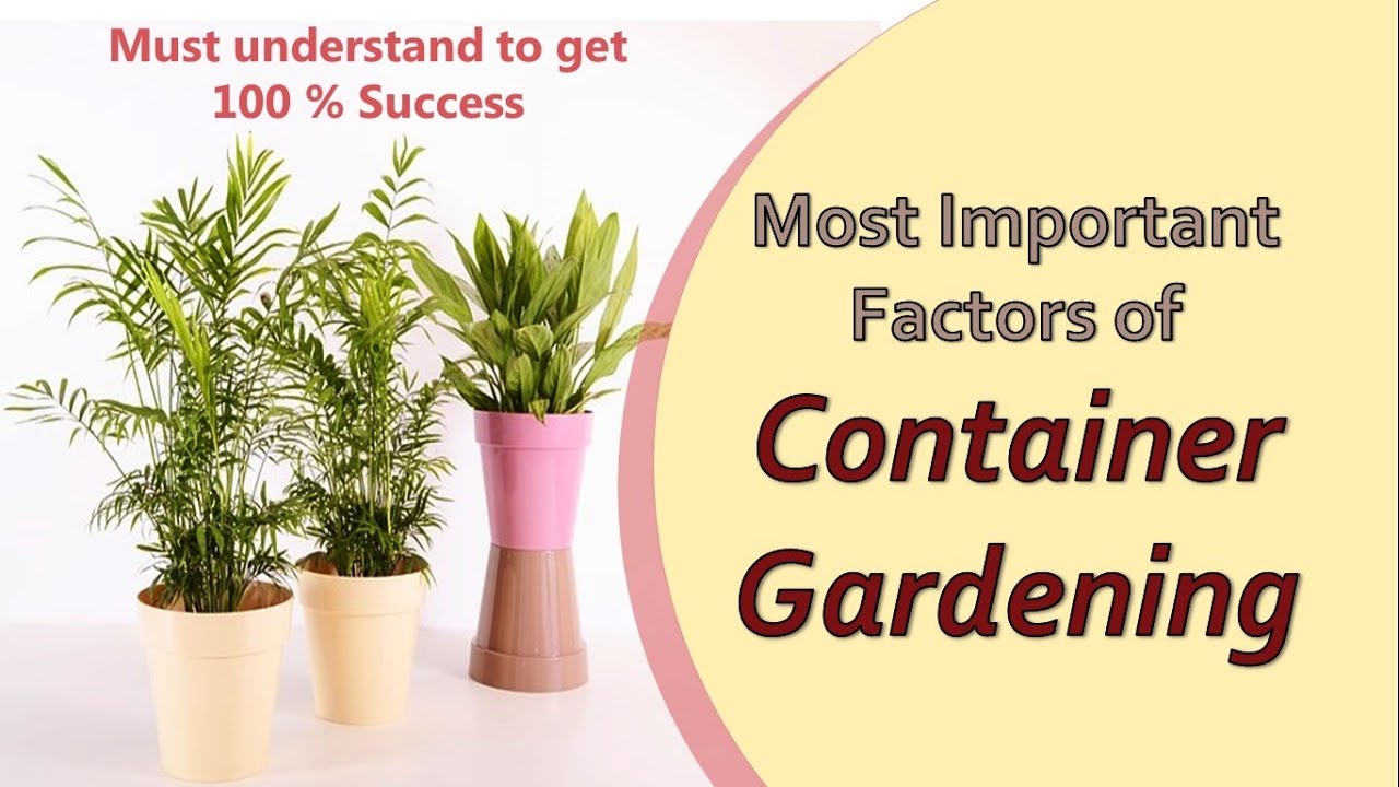 How to start container garden or container gardening