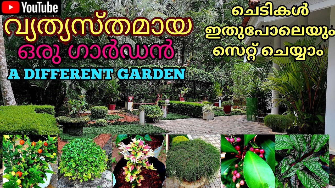A Different Garden | House Gardening | വ്യത്യസ്തമായ ഒരു ഗാർഡൻ | Indoor Outdoor  Plants | Malayalam