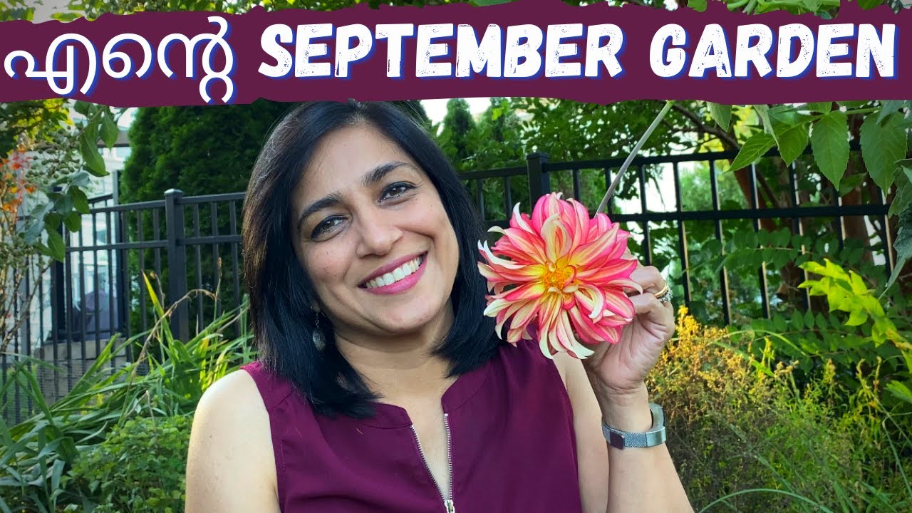 എന്റെ September Garden Tour|Malayalam Gardening Video|Flower Garden Tour Malayalam|Home Garden Tour