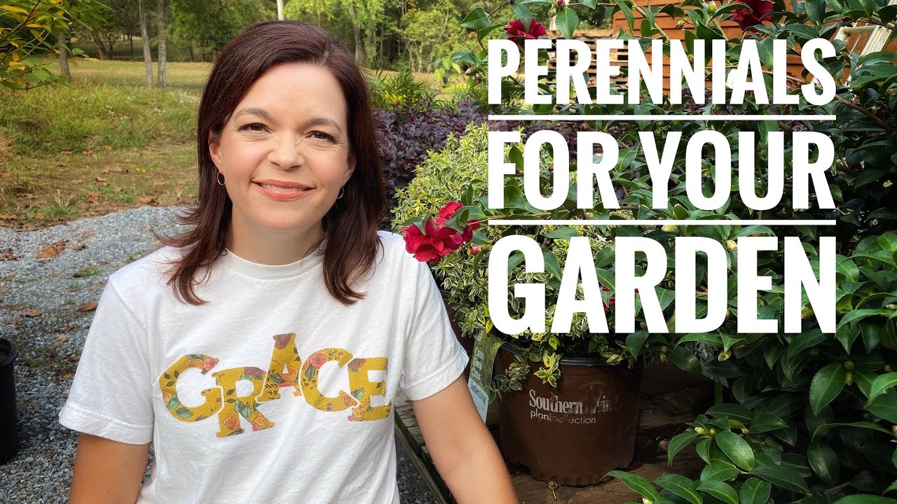Perennials for Your Garden // Gardening with Creekside