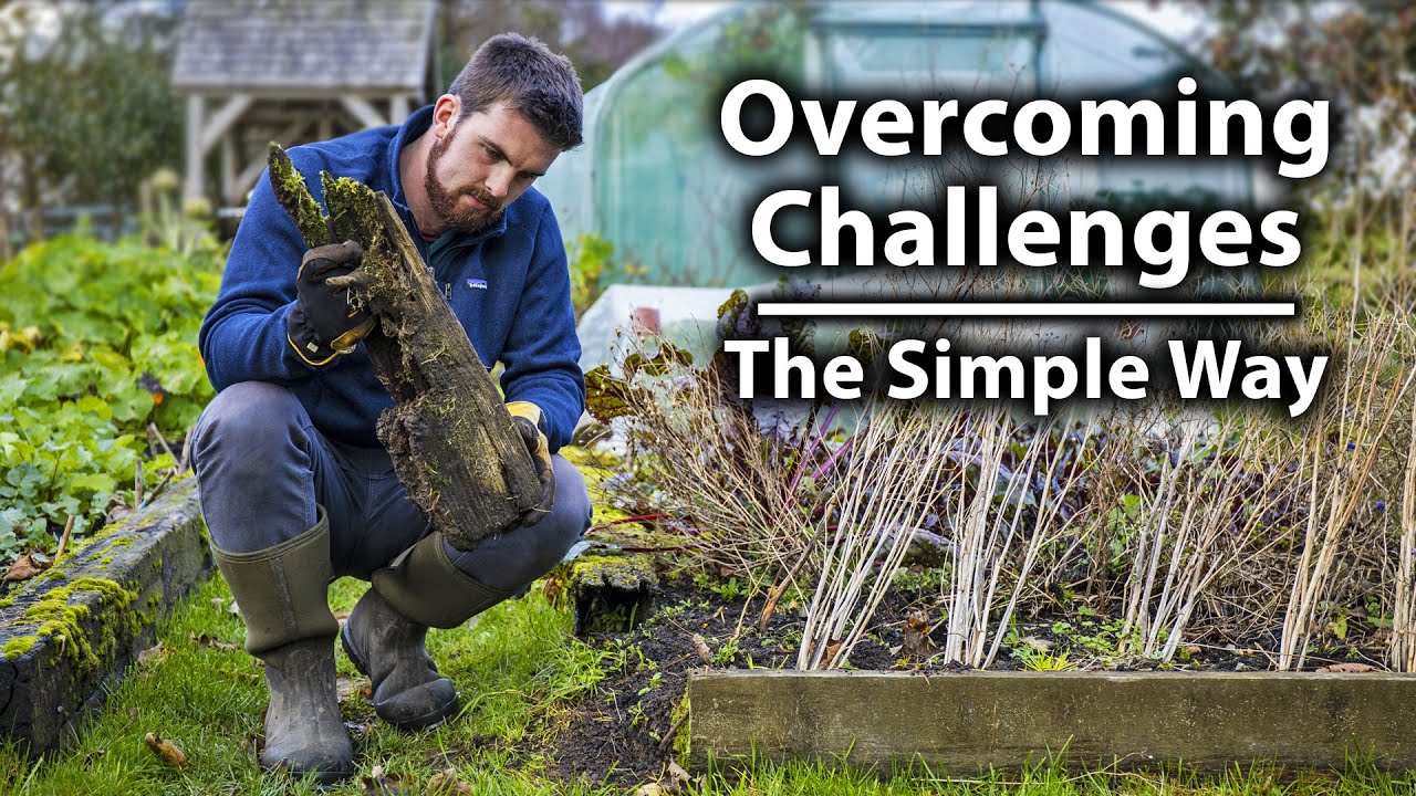 How to Tackle Problems in the Vegetable Garden | Ultimate Gardening Skills Series