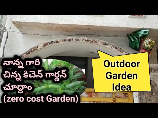 Amezing Garden Idea | Outdoor Garden design | Gardening ideas are Extremely inteligent and creative