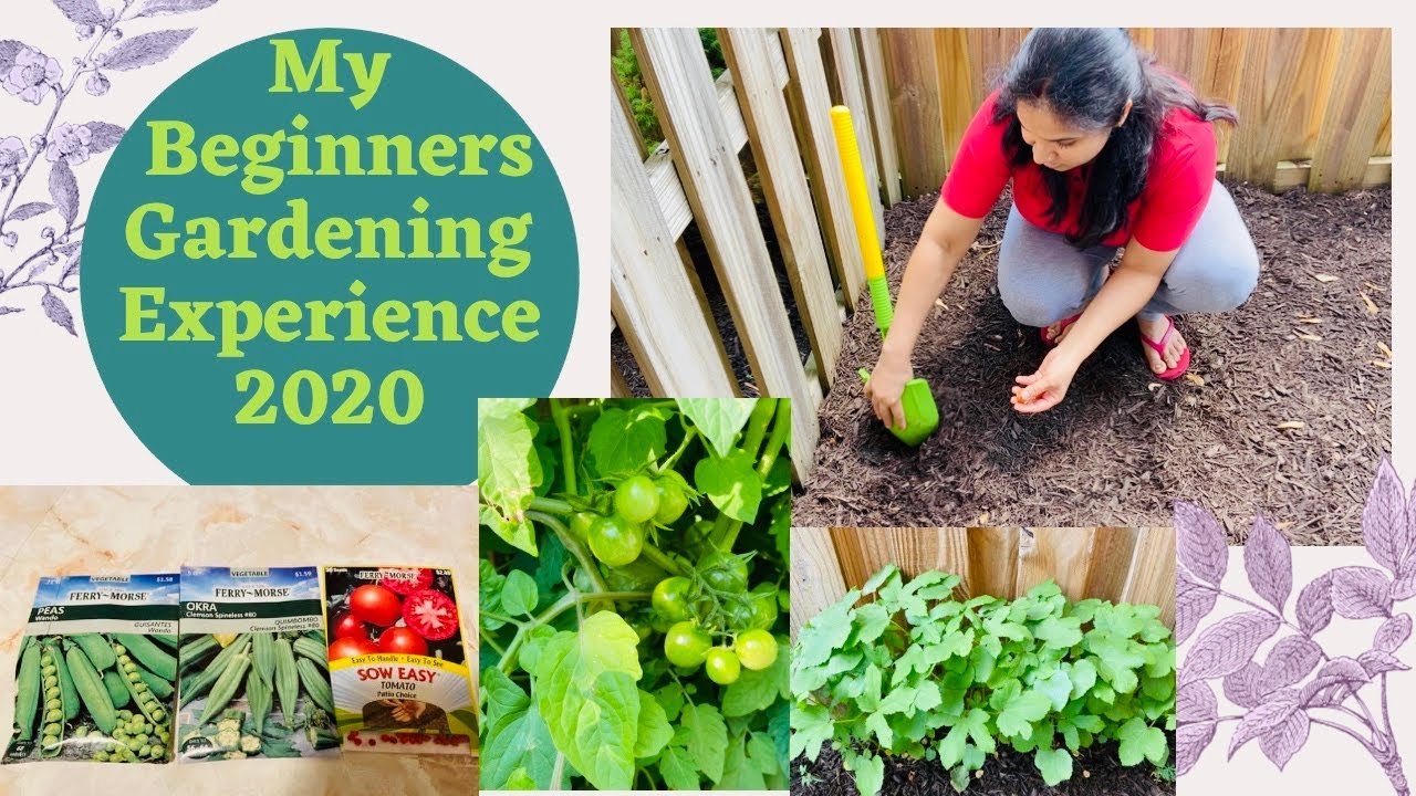 How I Started My Backyard Gardening~My Beginner's Gardening Experience!! Hope you Relate~Indian MOM