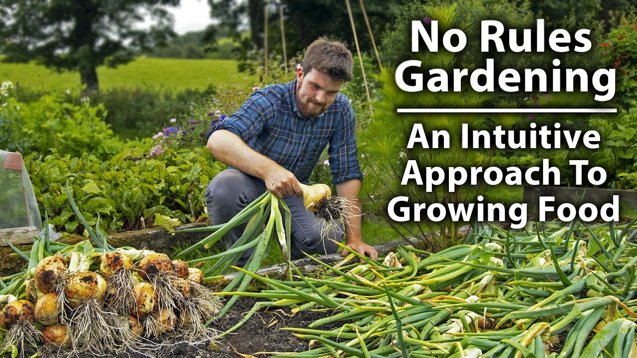 The NO RULES Vegetable Gardening Method | 9 Key Lessons from a Year of Growing Intuitively