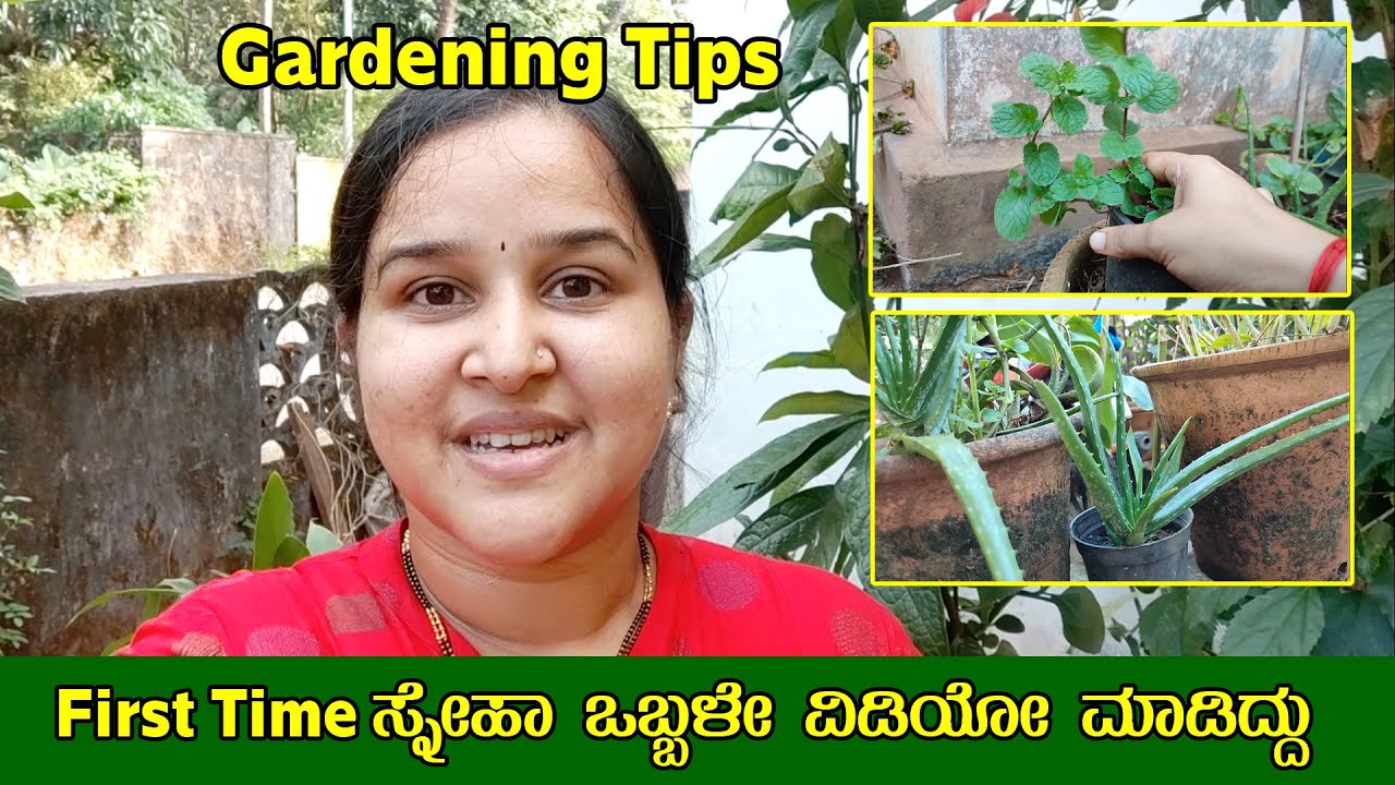 ನಿಮ್ಮ ಗಾರ್ಡನಿಂಗ್ ಪ್ರಶ್ನೆಗಳಿಗೆ ಉತ್ತರ  Gardening Tips by Sneha [Gardening Tips] - Mr and Mrs Kamath