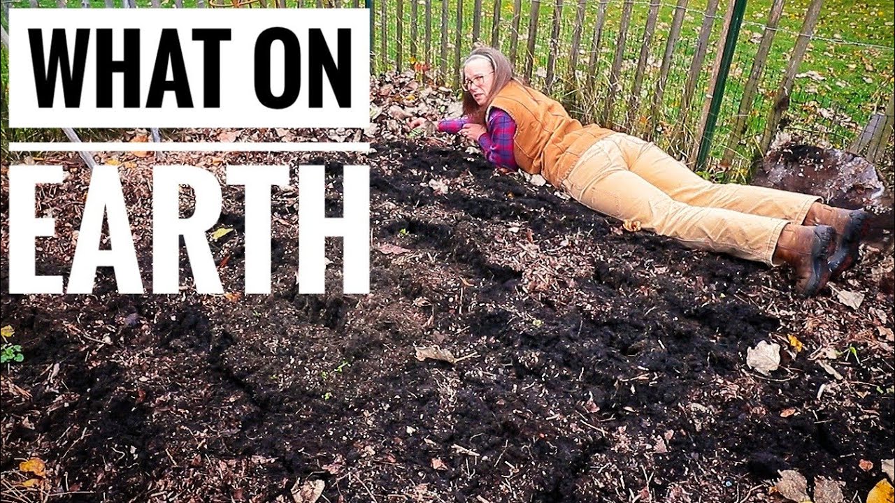 We Are SO LATE Planting Garlic | Fall Gardening No Till Method