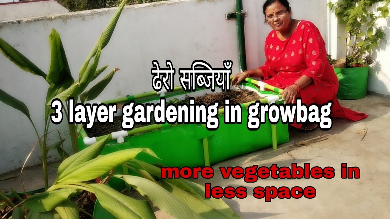 Large Growbag मे उगाई बहुत तरह की  सब्जियाँ 3 layers gardening in large Growbag Growing Vegetables