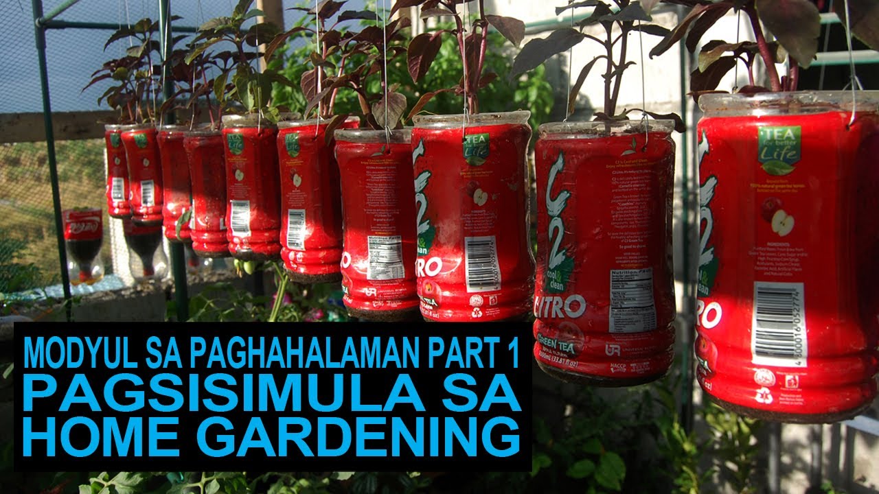 Part 1I Pagsisimula Sa Home Gardening I Modyul Sa Paghahalaman