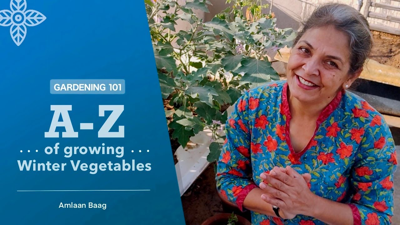 Gardening 101 | A-Z of Growing Winter Vegetables | फ्री के कंटेनर्स में लगाएं सर्दियों की सब्जियां