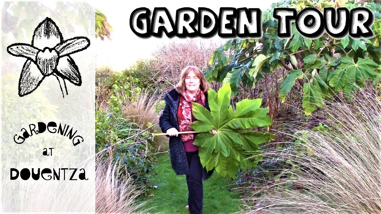 Winter Garden Tour - a stroll, gardening chat &  map of garden layout