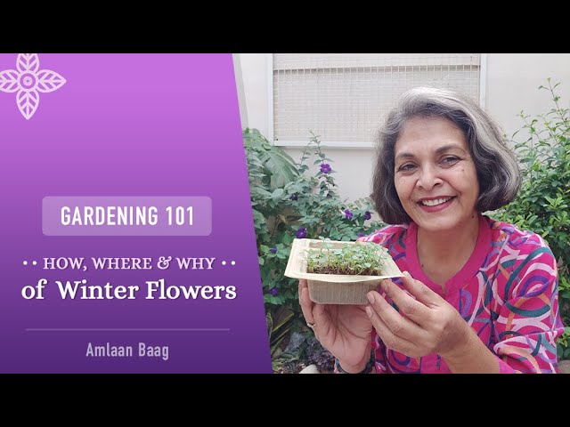 Gardening 101 | How, Where & Why of Winter Flower Landscapes | सर्दी के फूल कहां, कैसे लगाएं