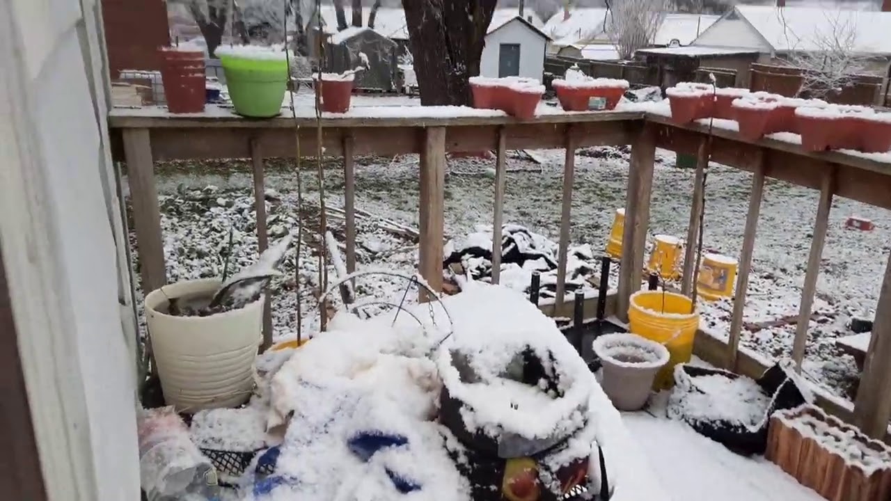 OMG!! OUR FIRST SNOW! WHERE DID THIS COME FROM? GARDENING FOR BEGINNERS 2020