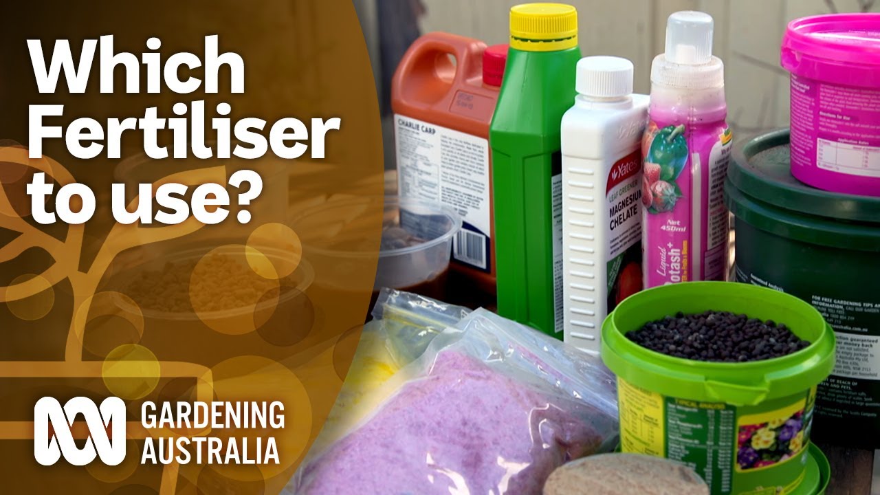 Which fertiliser to use | Gardening 101 | Gardening Australia