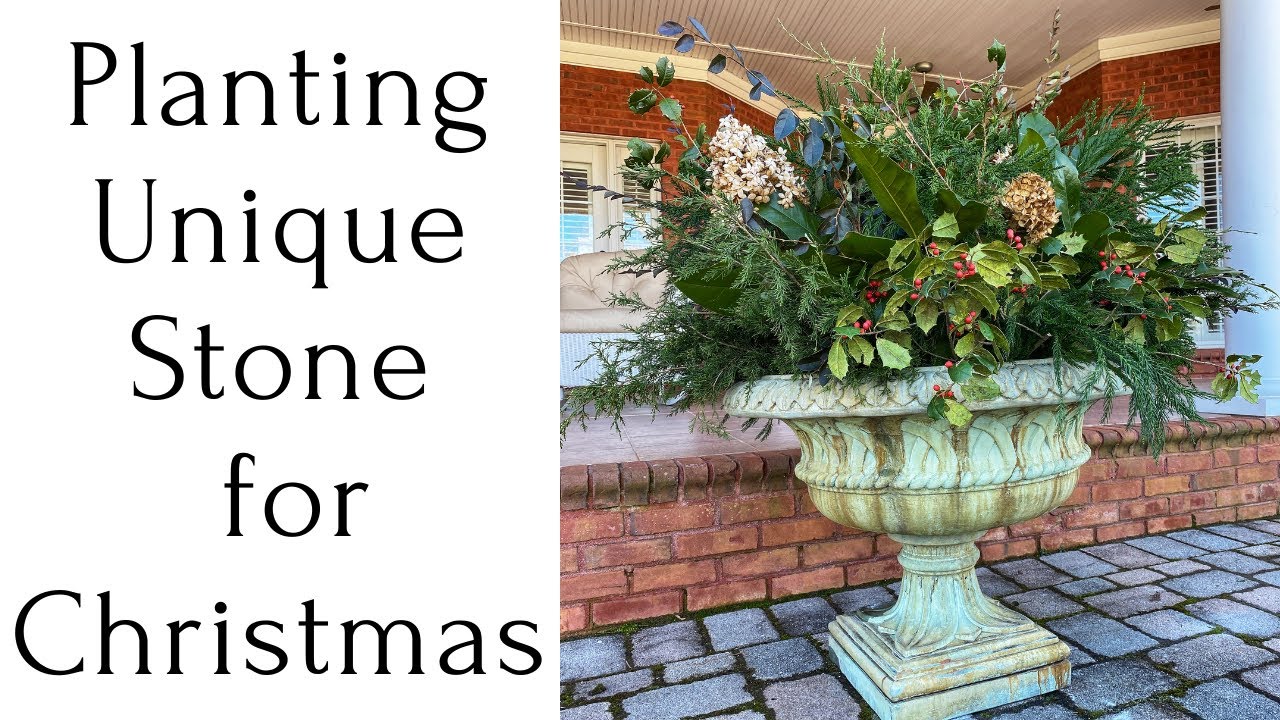 Planting Unique Stone for Christmas // Gardening with Creekside