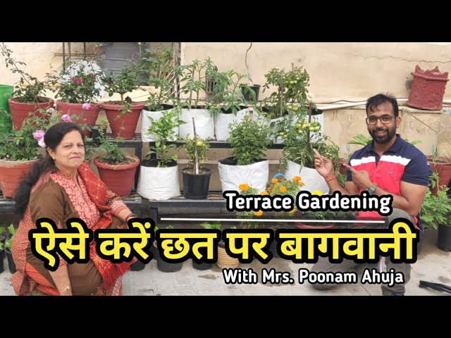 Chhat Par Bagwani, Roof Gardening, Terrace Gardening Tips