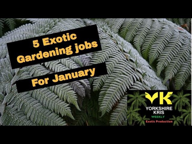 5 Exotic Gardening Jobs for January