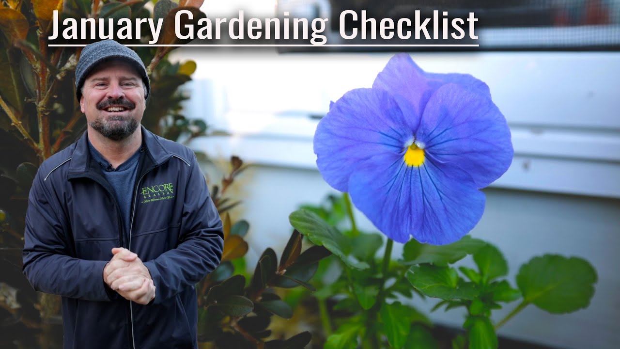 January Gardening Checklist - Winter Landscaping