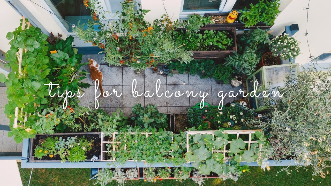 #28 Essential Tips for Starting a Balcony Vegetable Garden | Urban Gardening {SUB}