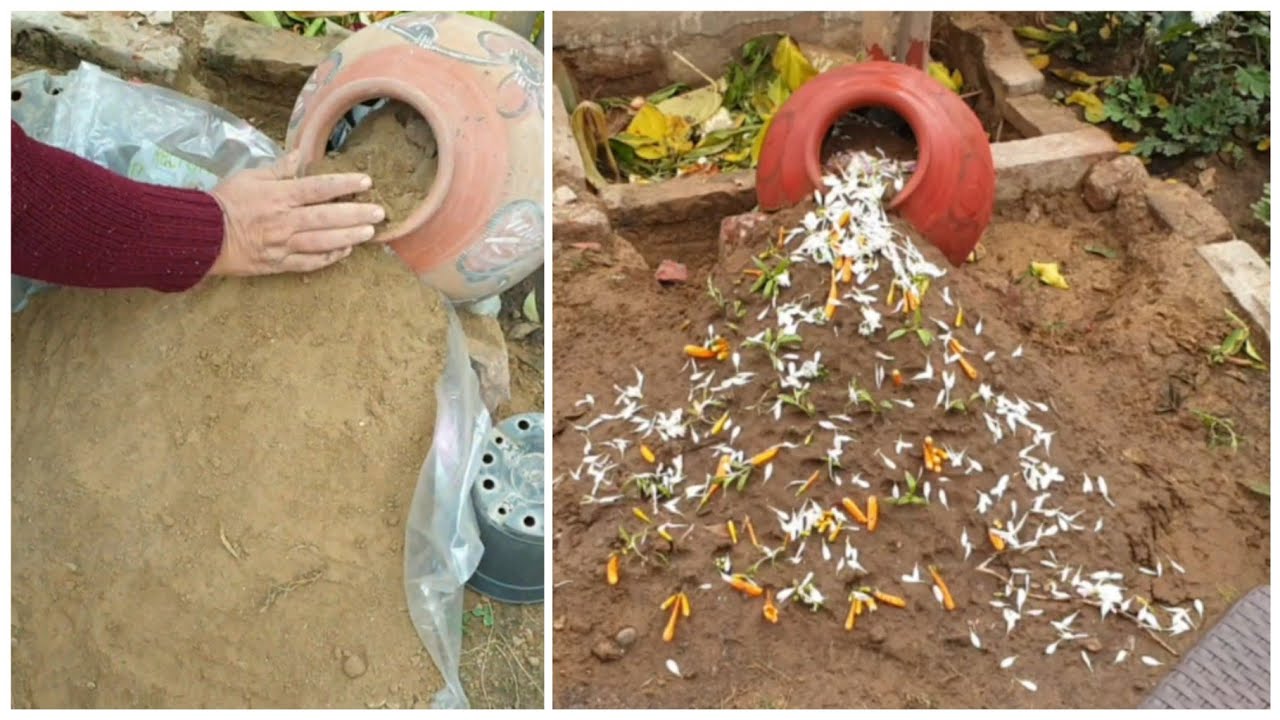 GARDEN CREATIVE DIY - Spilled Flower Pot || Garden Decoration Idea || Fun Gardening