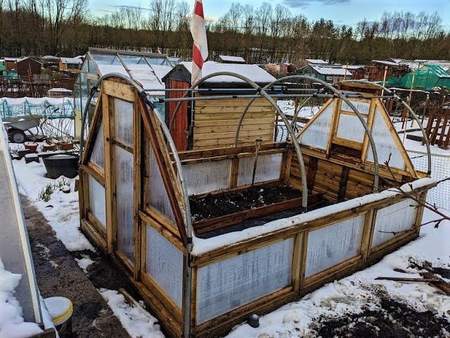 New Year On The Plots ~ Allotment Gardening 2021