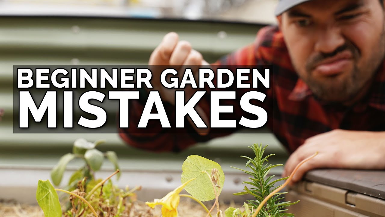 9 Beginner Gardening Mistakes to Avoid 😱 ❌