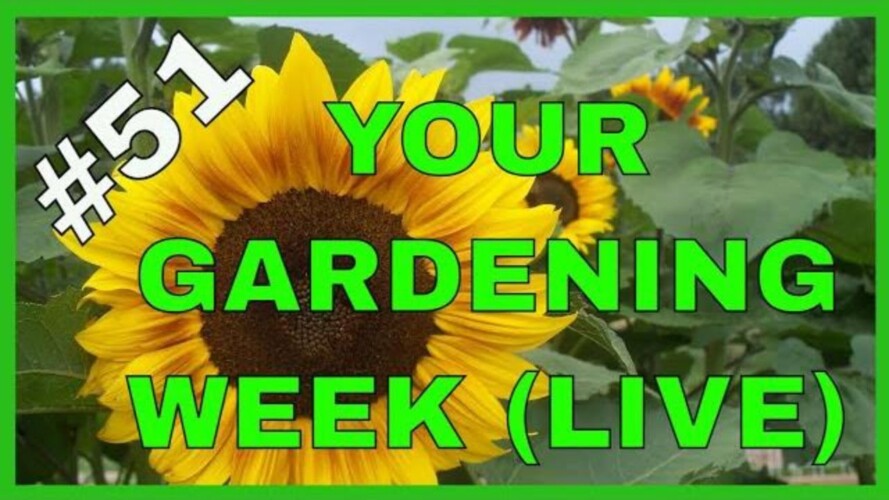 Gardening & Spring Weather (Q & A)